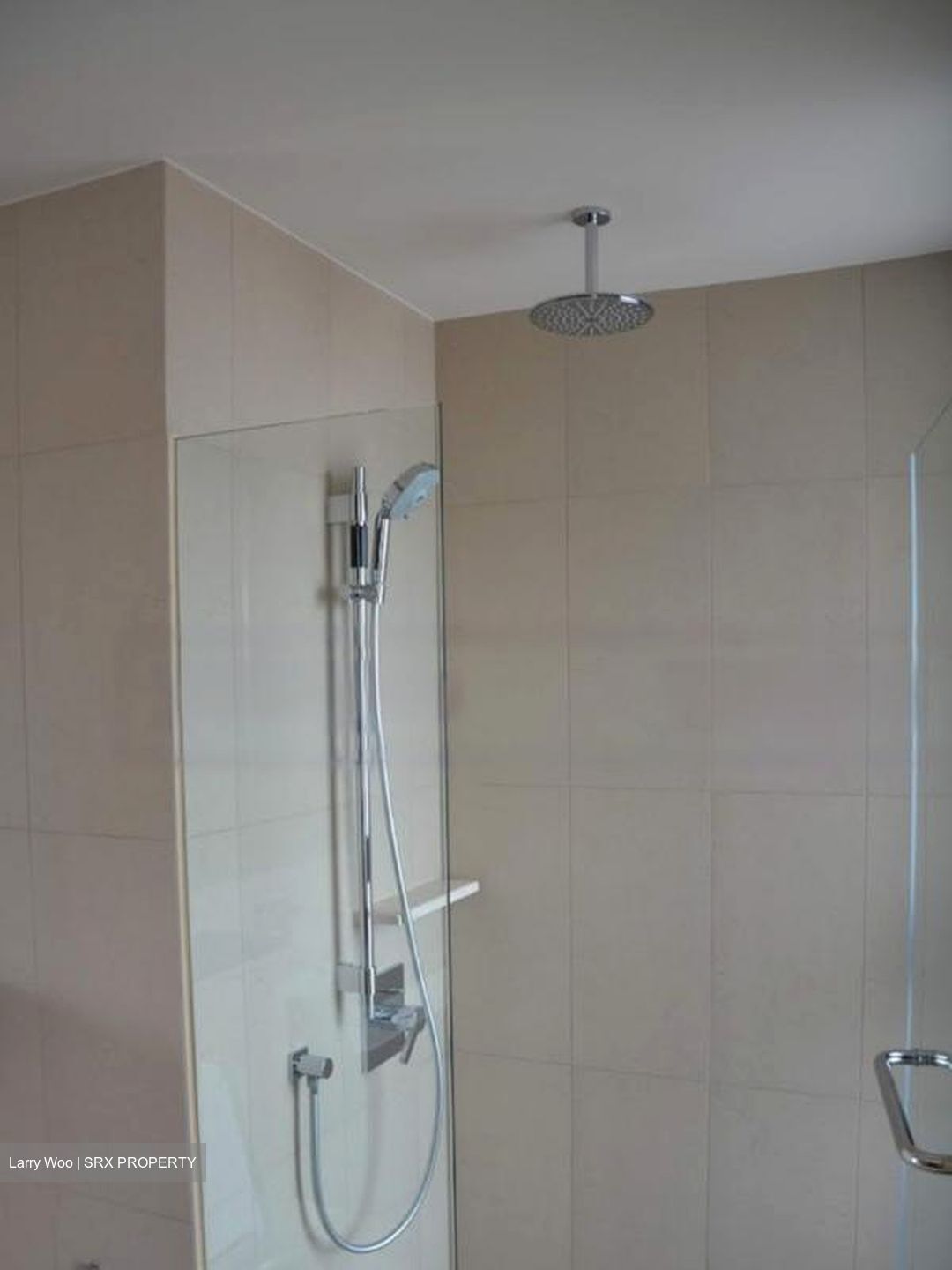 Spottiswoode Residences (D2), Condominium #580680411